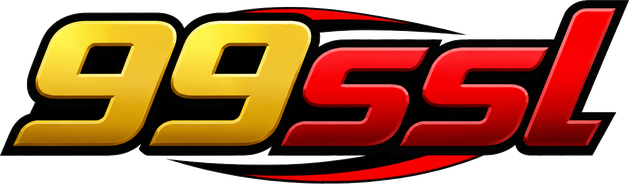 99ssl Logo